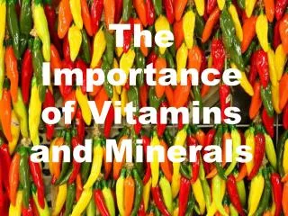 the importance of vitamins and minerals