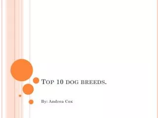 Top 10 dog breeds.