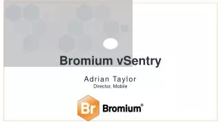 Bromium vSentry
