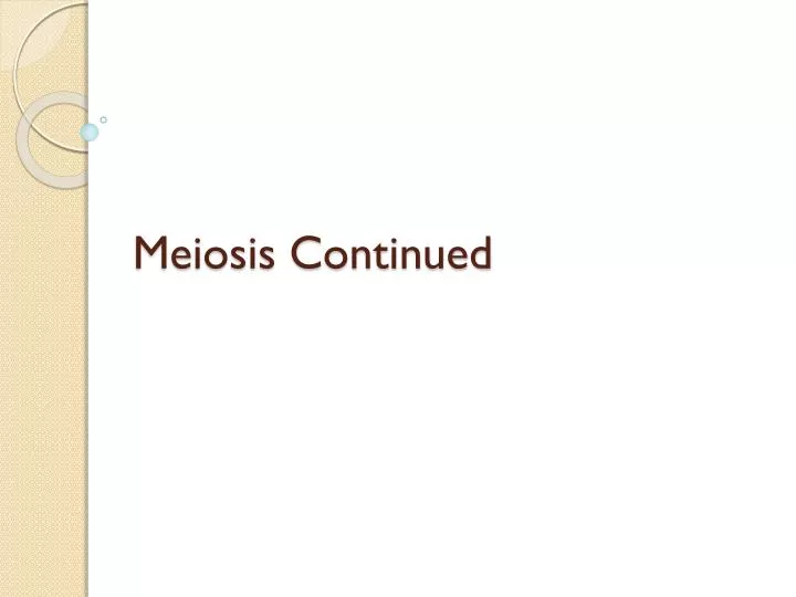 meiosis continued