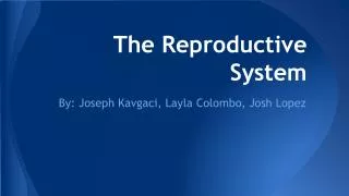 The Reproductive System