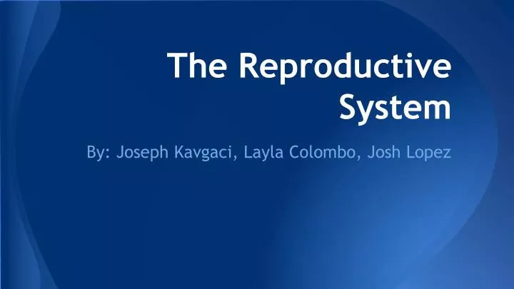 the reproductive system