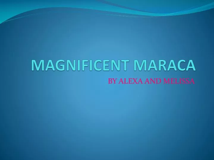 magnificent maraca