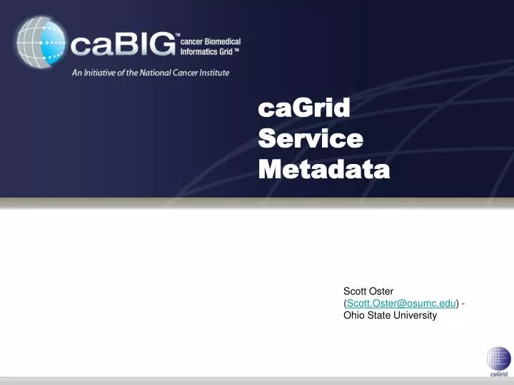 cagrid service metadata