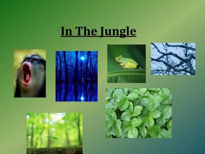 PPT - Who's The King of the Jungle PowerPoint Presentation, free download -  ID:3862785