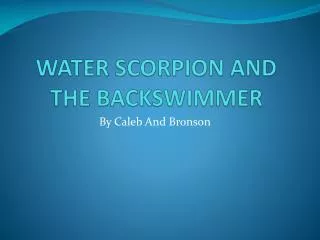 WATER SCORPION AND THE BACKSWIMMER