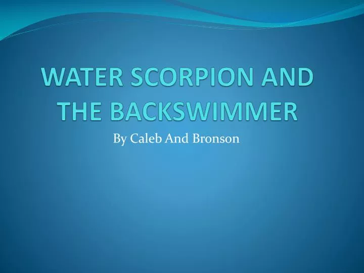 water scorpion and the backswimmer