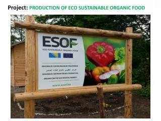 Project: PRODUCTION OF ECO SUSTAINABLE ORGANIC FOOD