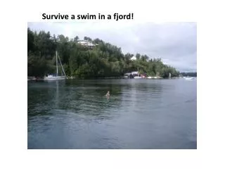 Survive a swim in a fjord!