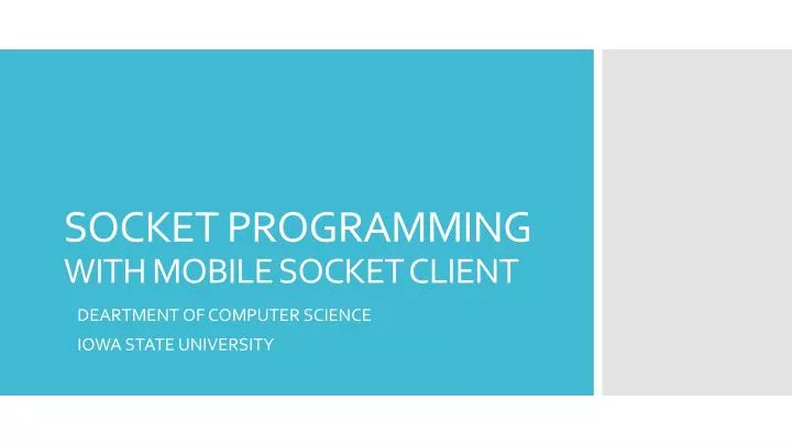 socket programming with mobile socket client