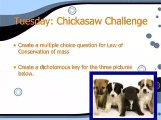 Tuesday: Chickasaw Challenge