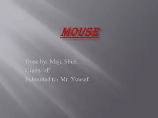 Mouse