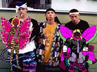 The Pink Gangsta