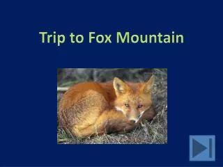Trip to Fox Mountain