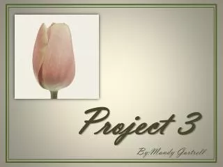 Project 3 By:Mandy Gartrell