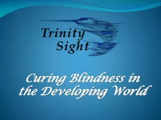 Curing Blindness in the Developing World