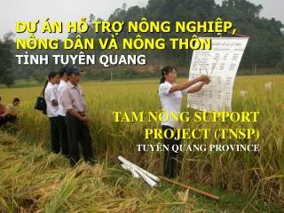 d n h tr n ng nghi p n ng d n v n ng th n t nh tuy n quang