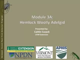 Module 3A: Hemlock Woolly Adelgid