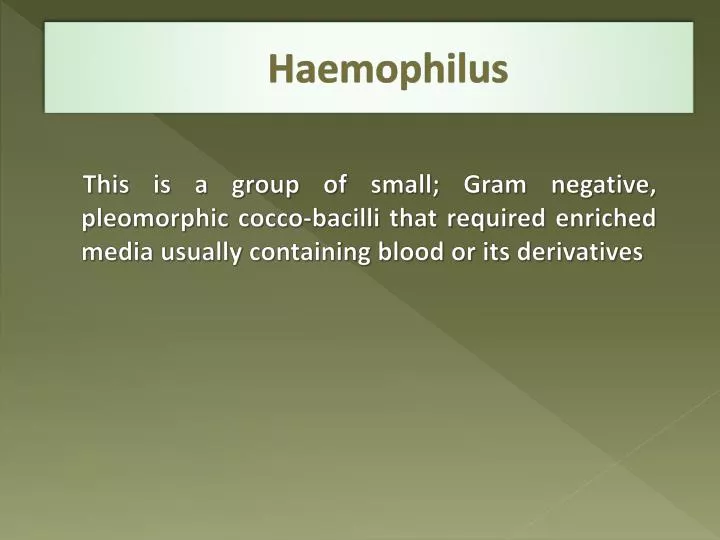 haemophilus
