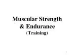 Muscular Strength &amp; Endurance (Training) - slide 1