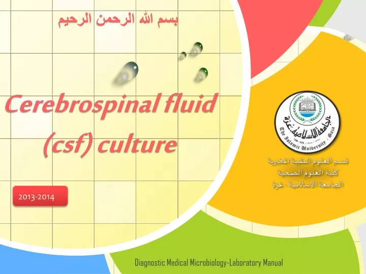 cerebrospinal fluid csf culture