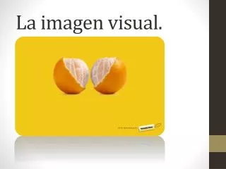 la imagen visual