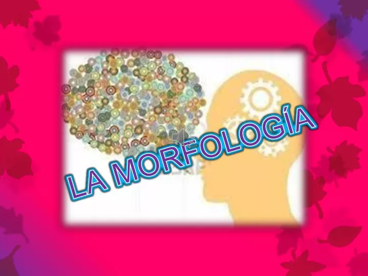 PPT LA MORFOLOGÍA PowerPoint Presentation free download ID