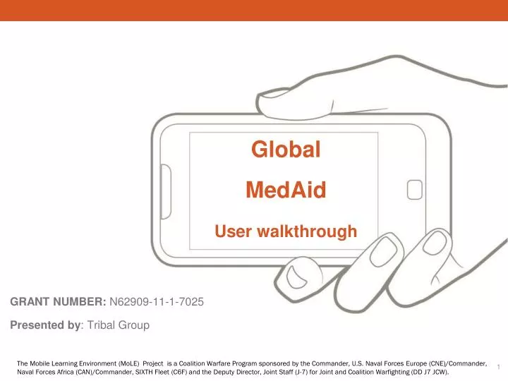 global medaid user walkthrough