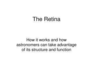 The Retina