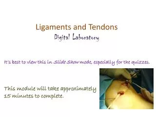 Ligaments and Tendons Digital Laboratory