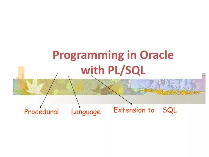 programming in oracle with pl sql