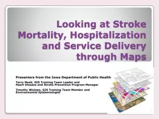 Looking at Stroke Mortality, Hospitalization and Service Delivery through Maps