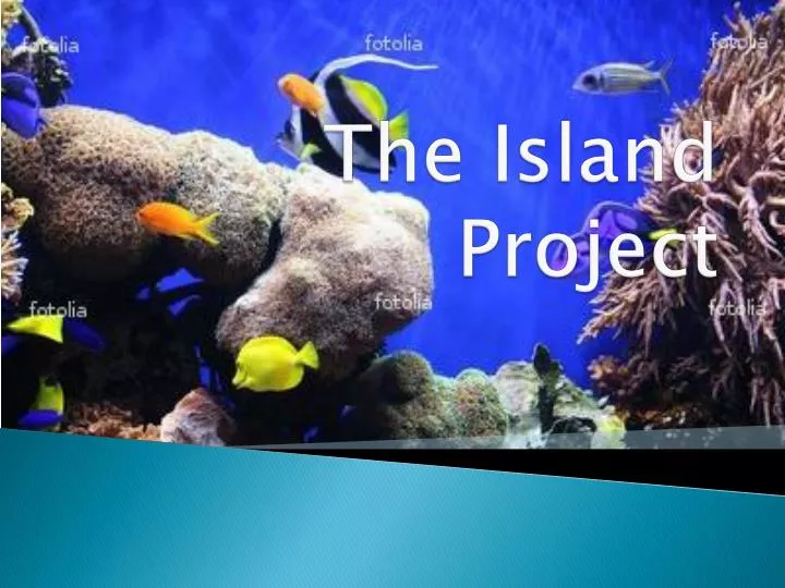 the island project