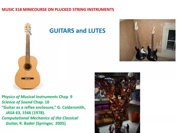 guitars and lutes