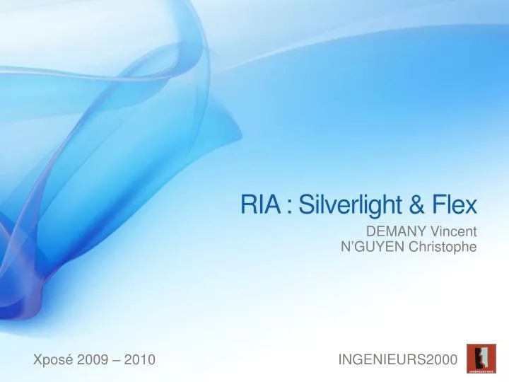 ria silverlight flex