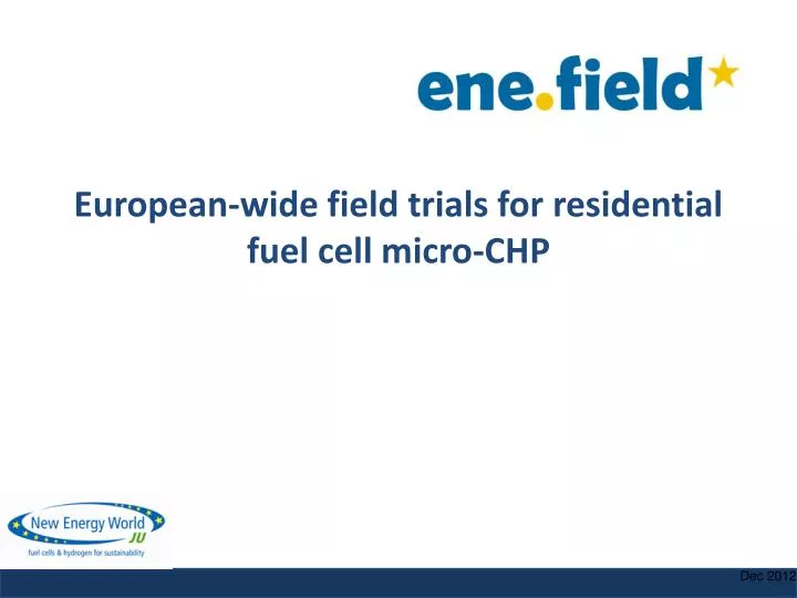european wide field trials for residential fuel cell micro chp