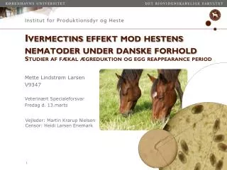 Ivermectins effekt mod hestens nematoder under danske forhold
