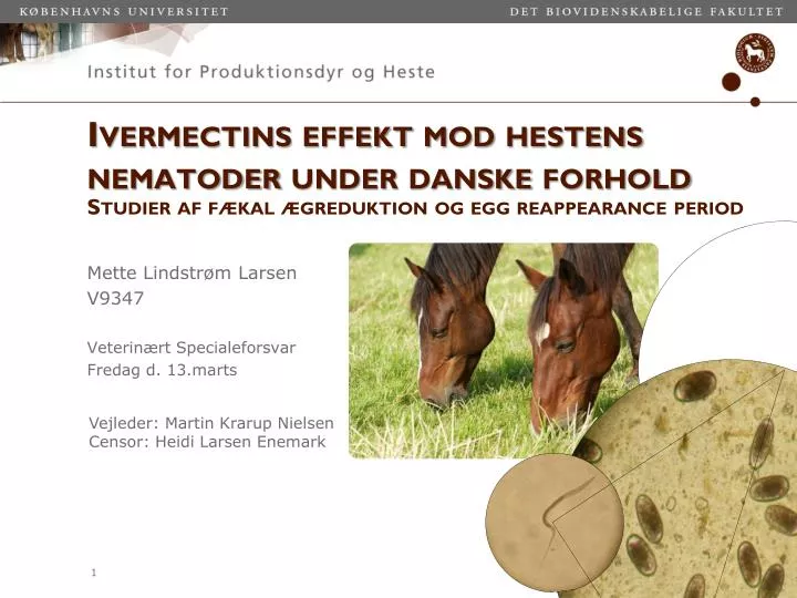 ivermectins effekt mod hestens nematoder under danske forhold