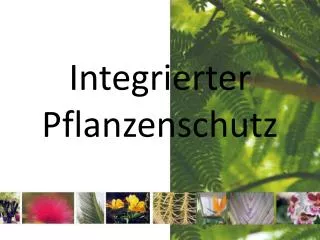 Integrierter Pflanzenschutz
