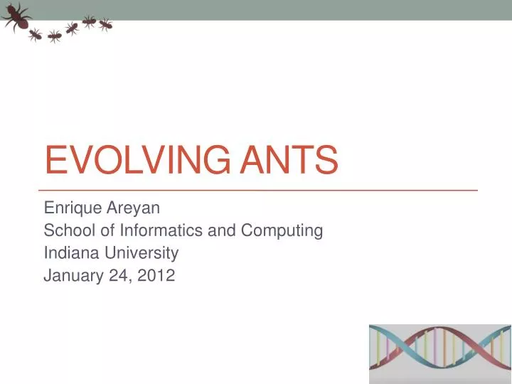 evolving ants