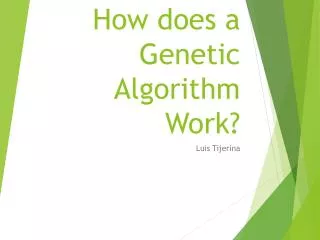 How does a Genetic Algorithm Work?