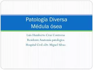 patolog a diversa m dula sea
