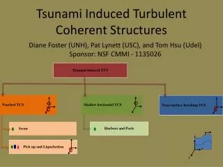 Tsunami Induced Turbulent Coherent Structures