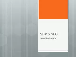 sem y seo
