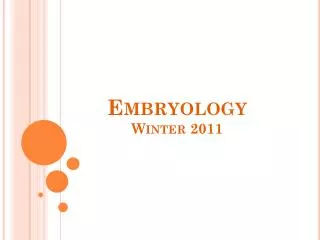 embryology winter 2011