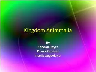 Kingdom Animmalia