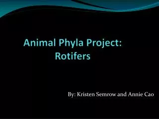Animal Phyla Project: Rotifers