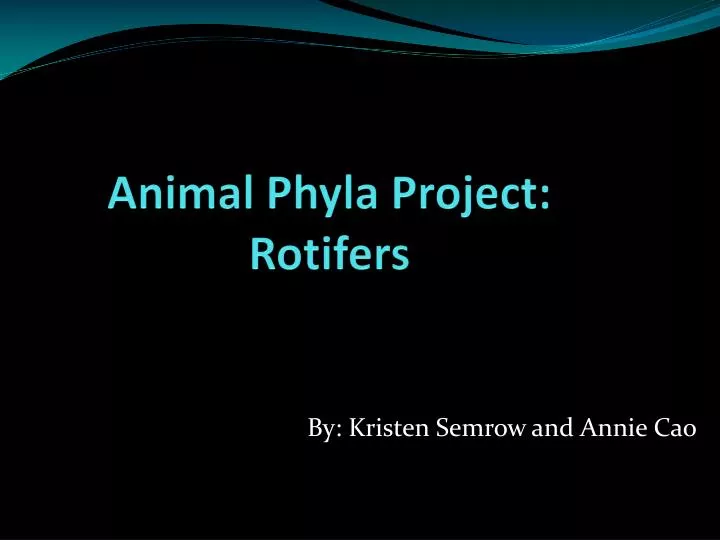 animal phyla project rotifers