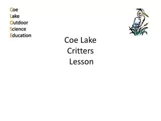 Coe Lake Critters Lesson