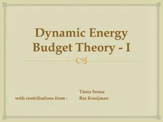 Dynamic Energy Budget Theory - I